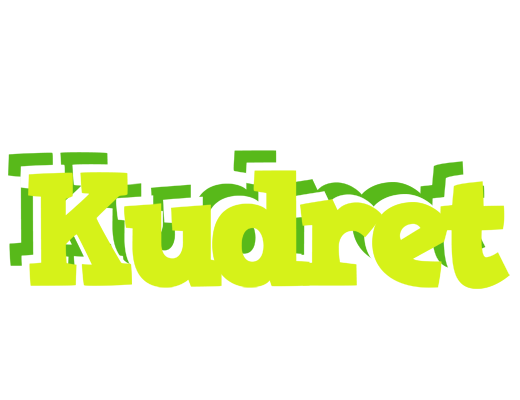 Kudret citrus logo