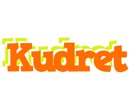 Kudret healthy logo