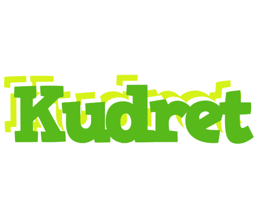Kudret picnic logo