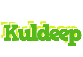 Kuldeep picnic logo