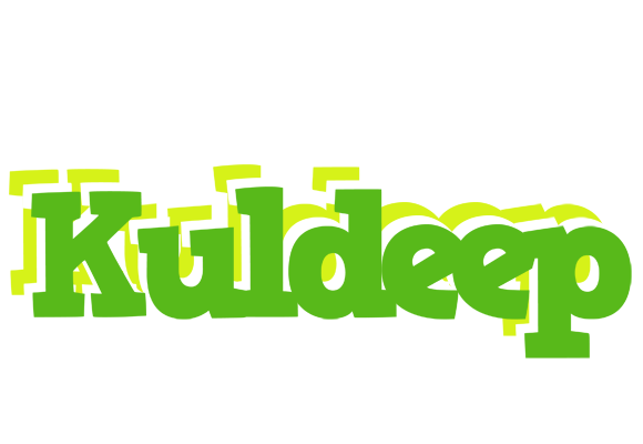 Kuldeep picnic logo
