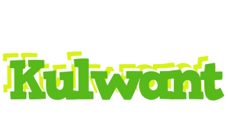 Kulwant picnic logo