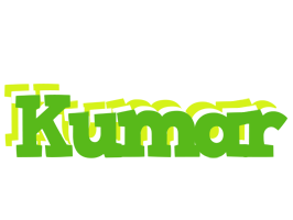 Kumar picnic logo