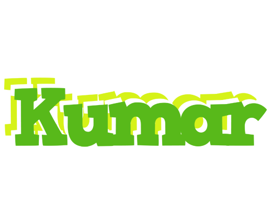 Kumar picnic logo