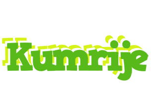 Kumrije picnic logo