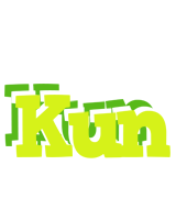 Kun citrus logo