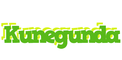 Kunegunda picnic logo