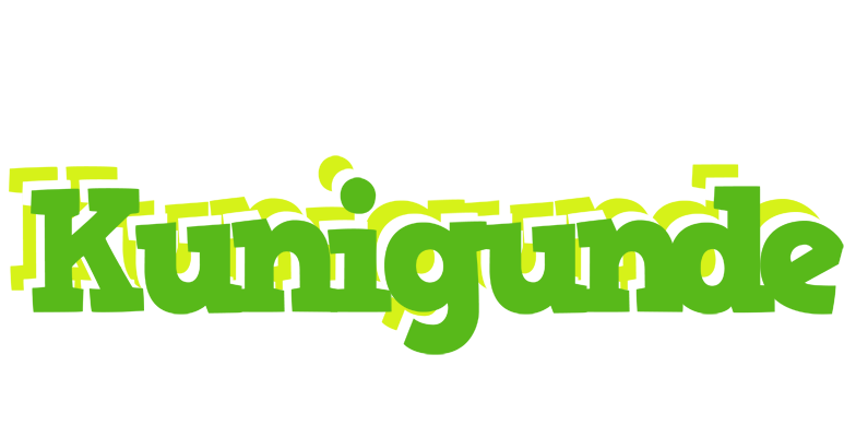 Kunigunde picnic logo