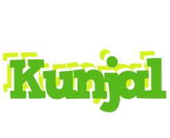 Kunjal picnic logo