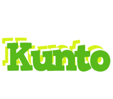 Kunto picnic logo