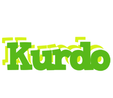 Kurdo picnic logo