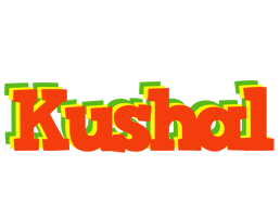 Kushal bbq logo