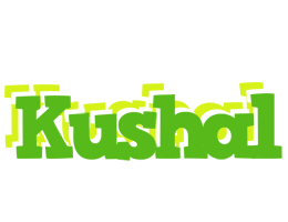 Kushal picnic logo