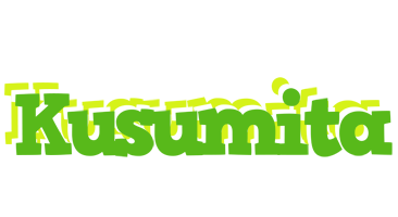 Kusumita picnic logo