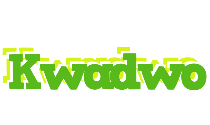 Kwadwo picnic logo