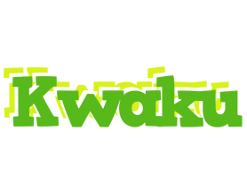 Kwaku picnic logo