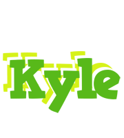 Kyle picnic logo