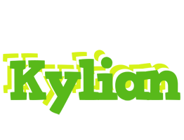 Kylian picnic logo