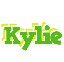 Kylie picnic logo