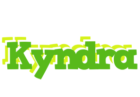 Kyndra picnic logo