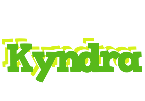Kyndra picnic logo