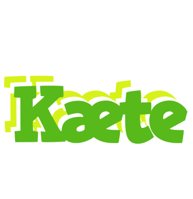 Kæte picnic logo