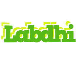 Labdhi picnic logo