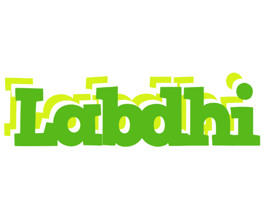 Labdhi picnic logo