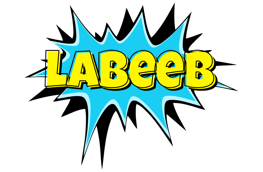 Labeeb amazing logo