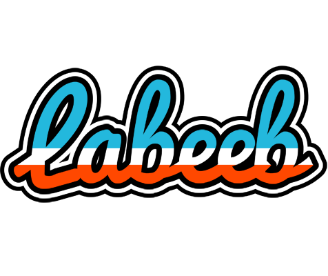 Labeeb america logo