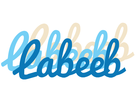 Labeeb breeze logo