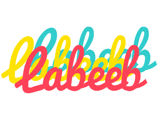 Labeeb disco logo