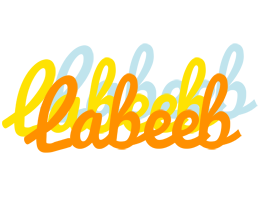 Labeeb energy logo