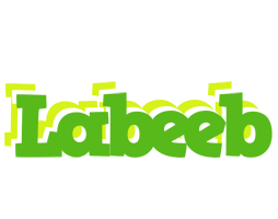 Labeeb picnic logo