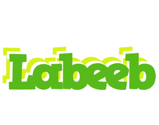 Labeeb picnic logo