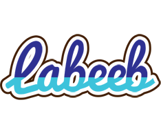 Labeeb raining logo