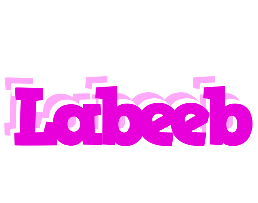 Labeeb rumba logo