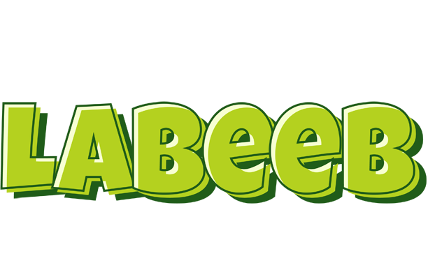 Labeeb summer logo