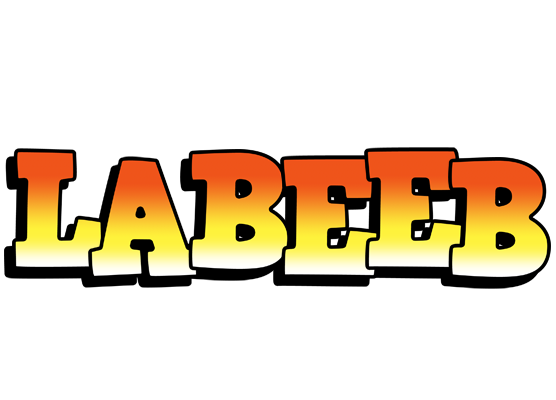 Labeeb sunset logo