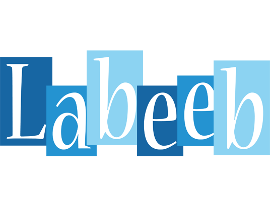 Labeeb winter logo