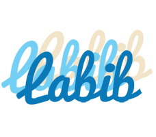 Labib breeze logo