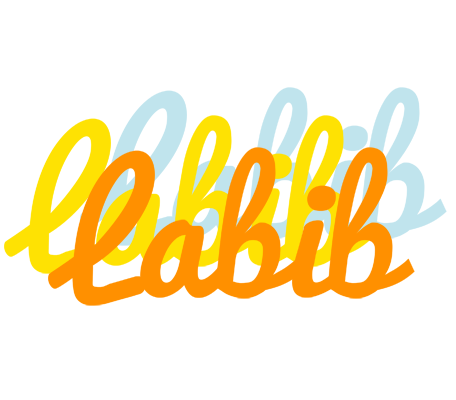 Labib energy logo