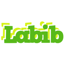 Labib picnic logo