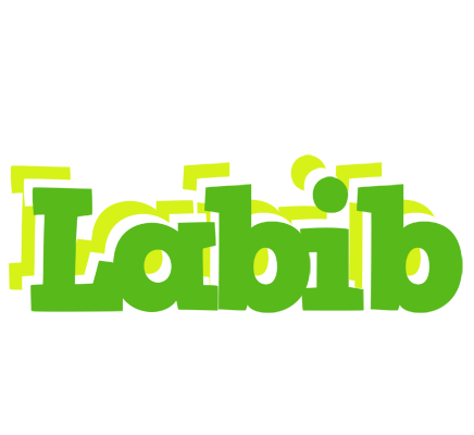 Labib picnic logo
