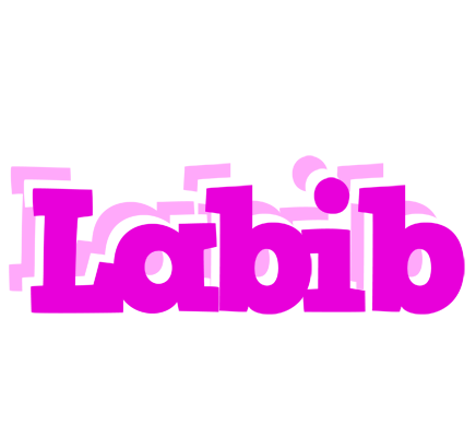 Labib rumba logo