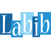 Labib winter logo