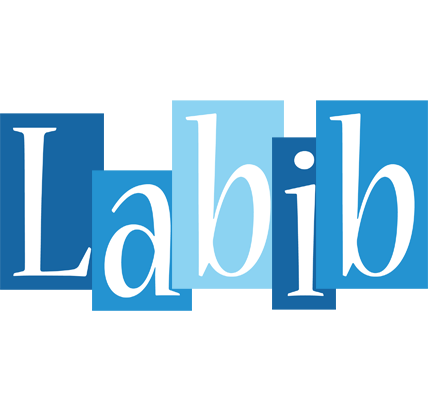 Labib winter logo