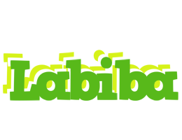 Labiba picnic logo