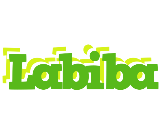 Labiba picnic logo