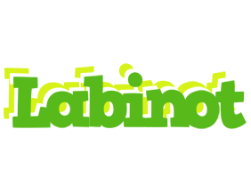 Labinot picnic logo